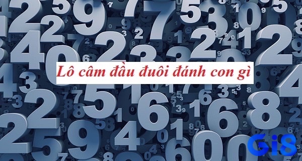 Cùng gi8 khám phá đầu lô câm hôm sau đánh con gì chuẩn xác 100%  nhé 