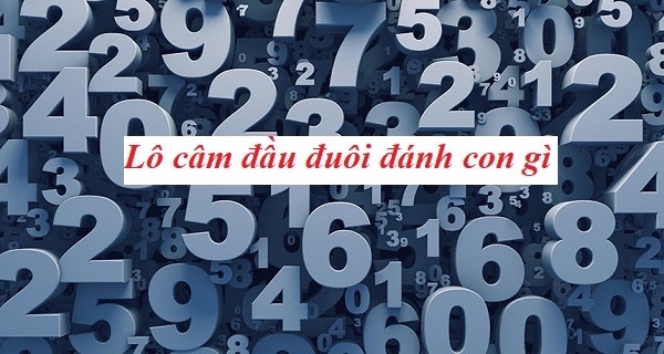 Đầu lô câm hôm sau đánh con gì? Bí kíp chọn số chuẩn xác